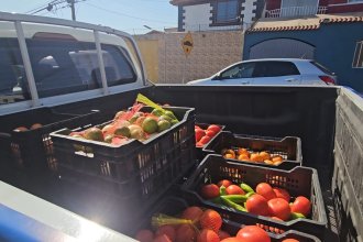 WhatsApp Image 2025-07-04 at 15.26.19.jpeg